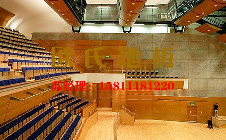 專業舞台運動木地板優點是什（shí）麽?